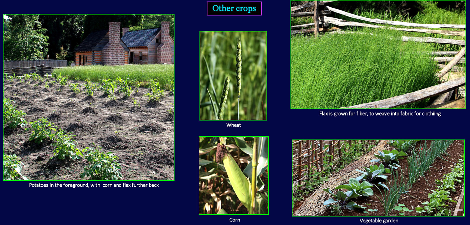 Garden Crops, 1700